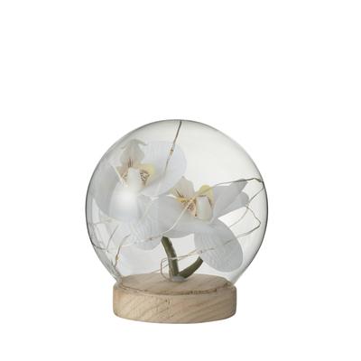 Globe led orchidée - blanc
